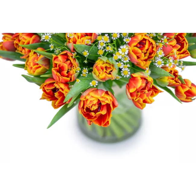 Bouquet of premium tulips